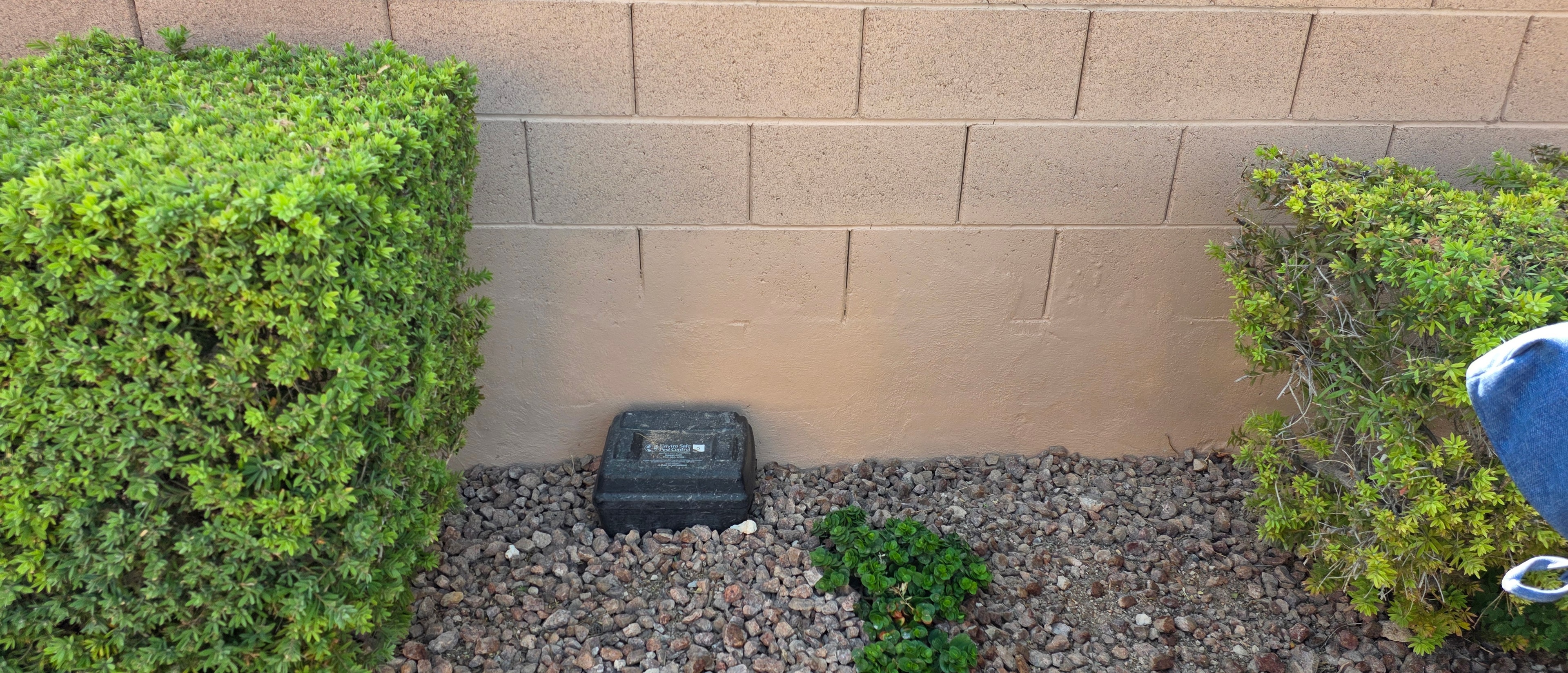 Cinder block restoration project